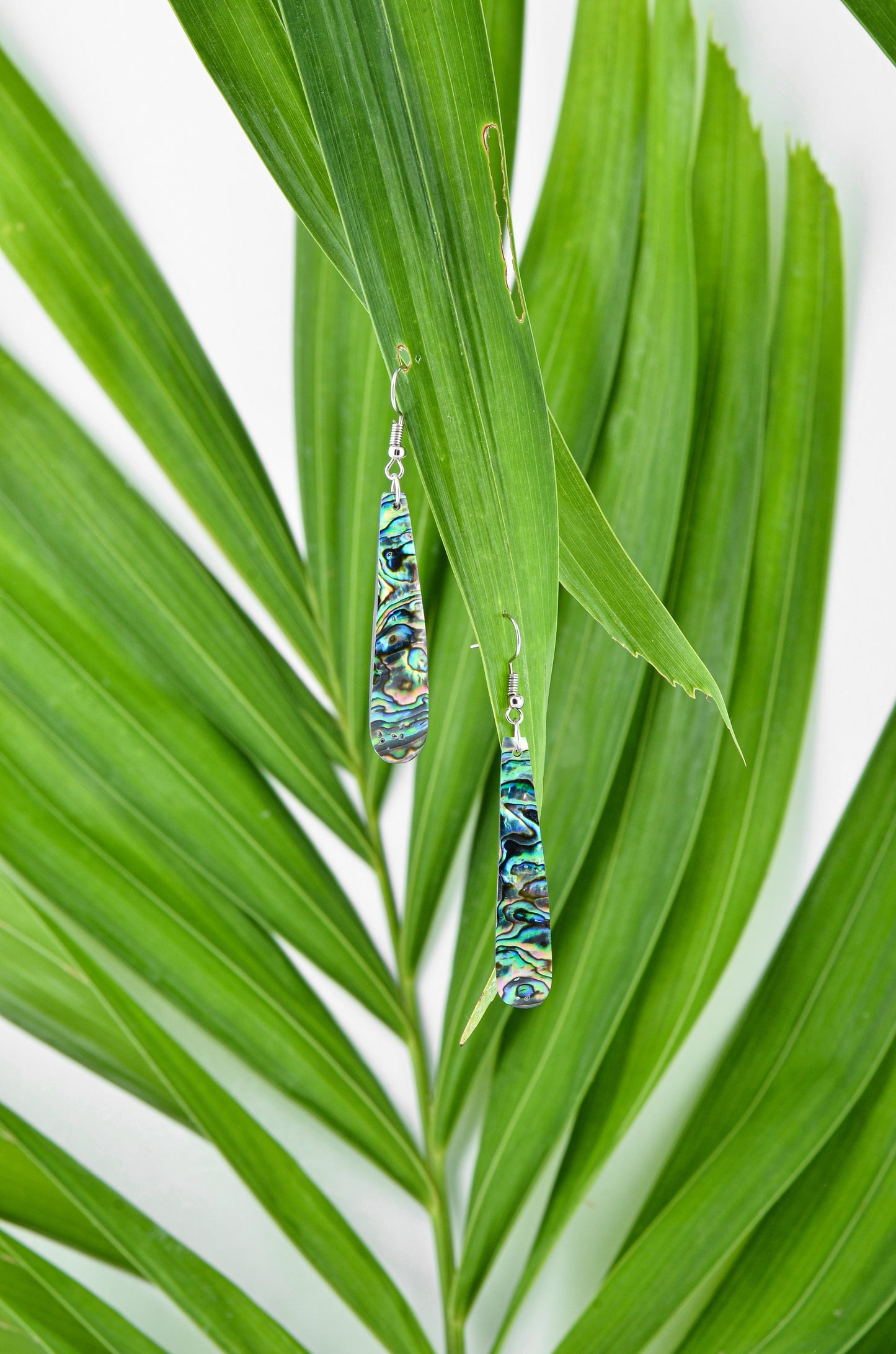 Long Drop Paua Earrings