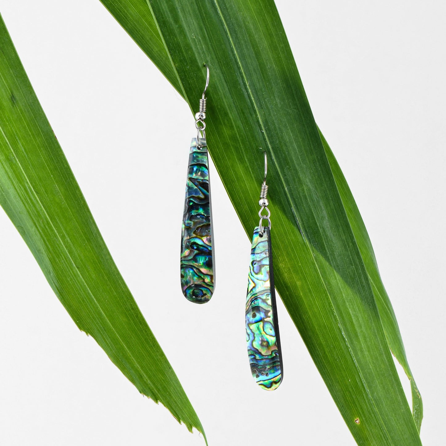 Long Drop Paua Earrings