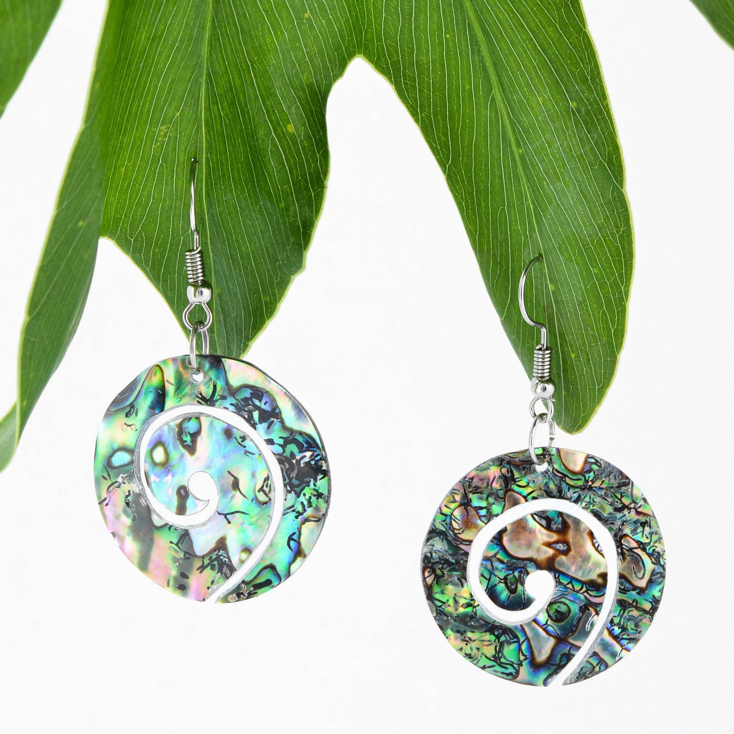 Koru Paua Earrings