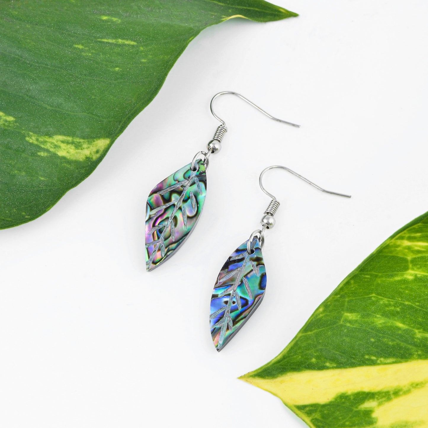 Leaf Paua Earrings