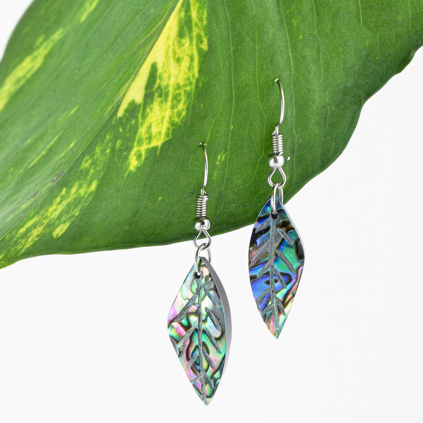 Leaf Paua Earrings