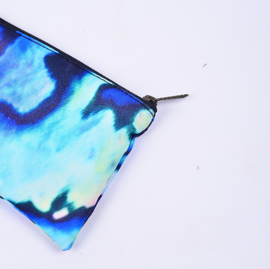Paua Coin Purse